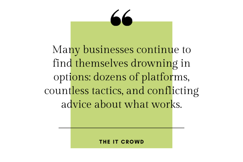 Quote: "Many businesses continue to find themselves drowning in options, dozens of platforms, countless tactics, and conflicting advice about what works." –The it Crowd